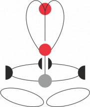 Привязь ACCESS XT BLACK, размер S-L, CAMP